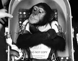 HAM in space capsule